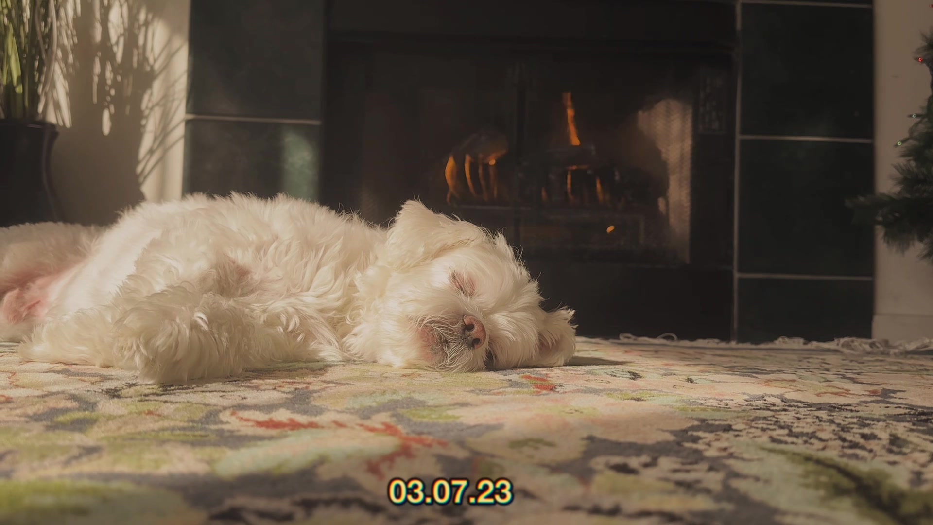 Still from a film about life's slower moments